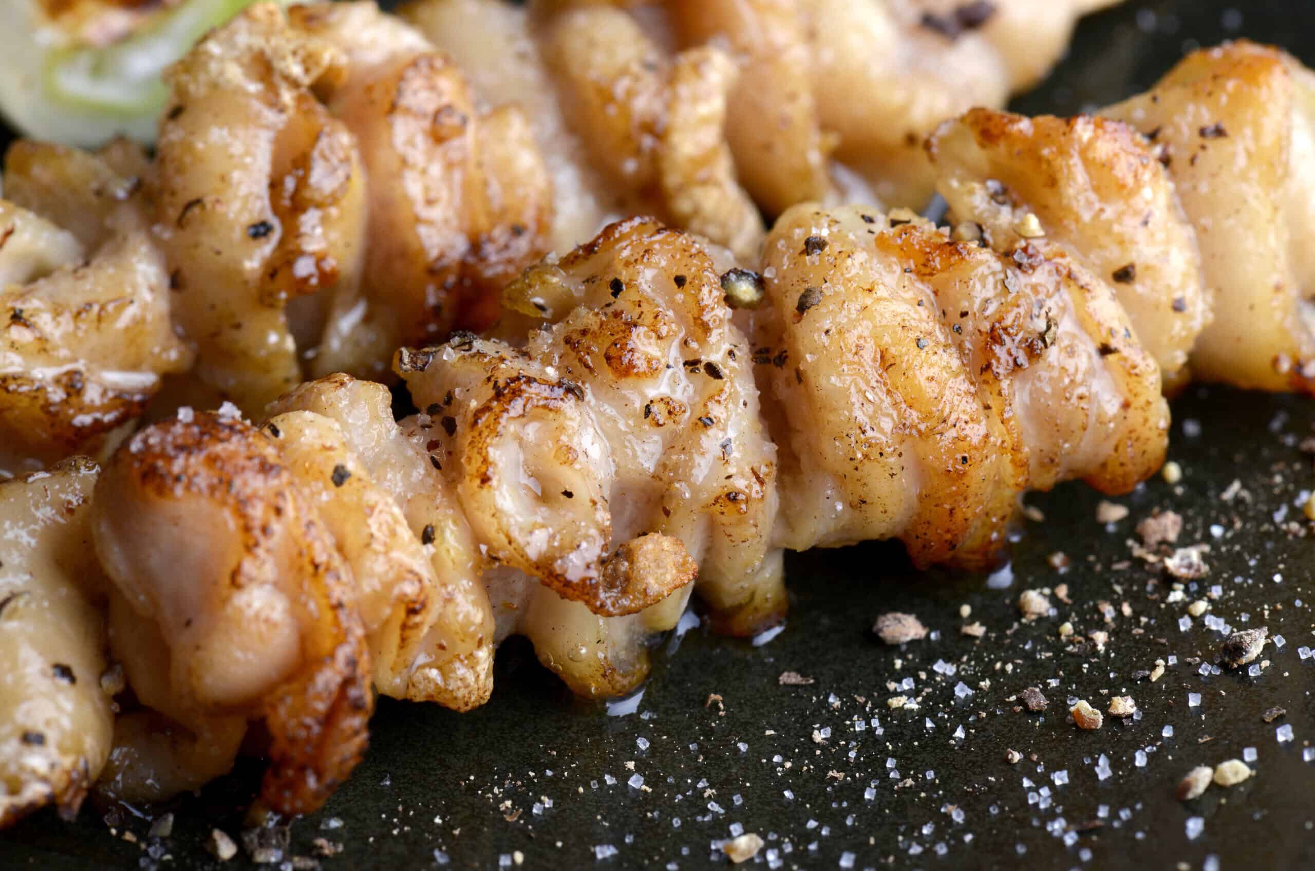 Japanese yakitori skewer close up 