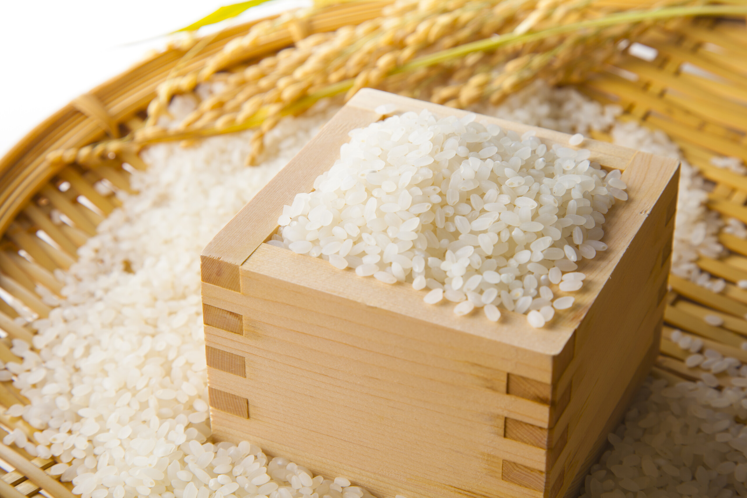 Japanese short grain rice in a masu box