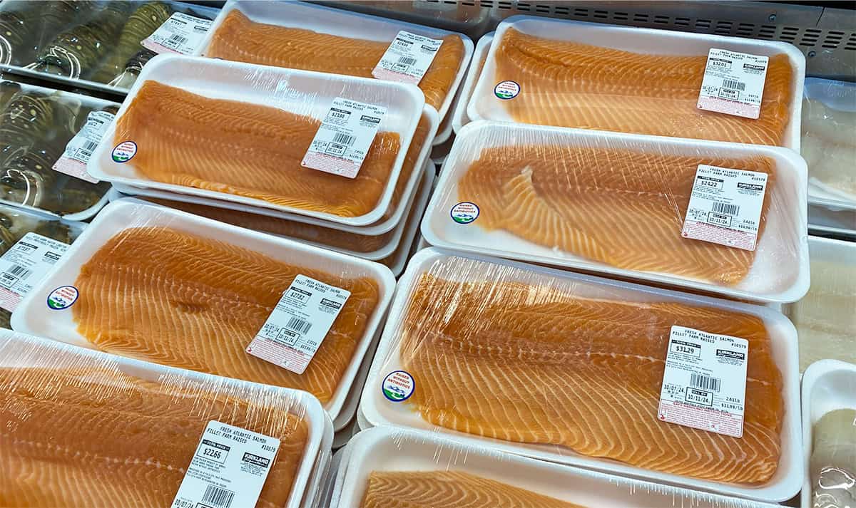 Atlantic salmon at Costco