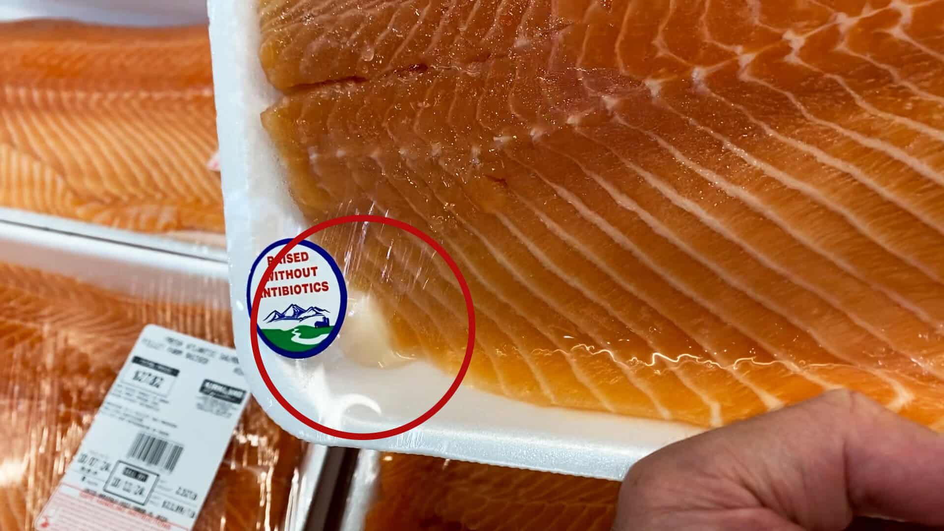 Liquid buildup in package of Costco salmon